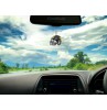 Iowa Hawkeyes Car Antenna Ball / Auto Dashboard Accessory (College Football)